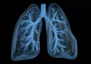 blue image of lungs lungs