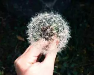 seasonal allergies