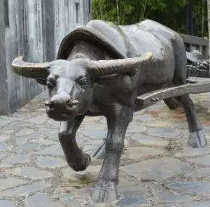 metal ox