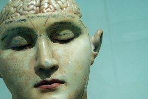 Alzheimer's disease brain