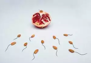 low sperm count, oligospermia, male infertility