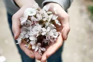 hand pain pain in hands