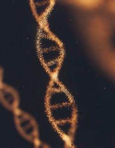 genes DNA Huntington's 
