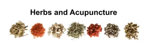 small piles of Chinese herbs of many colors in a row